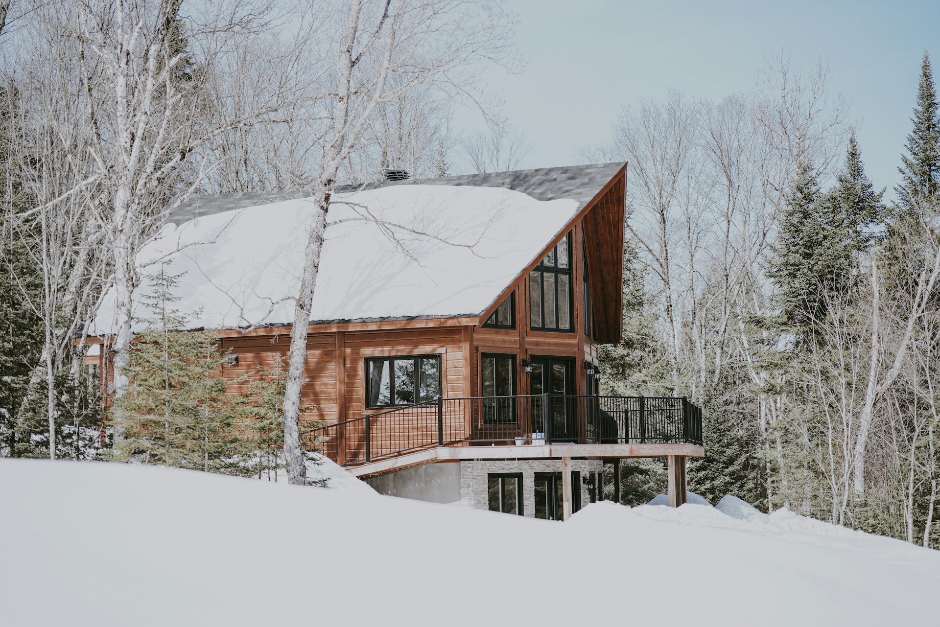 cabin near snowy forest
